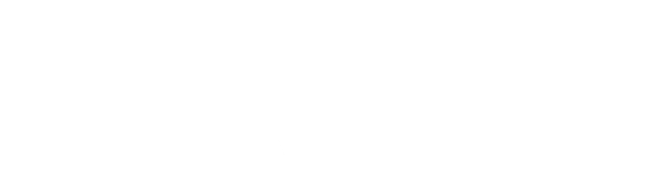 fiver-logo fiver-logo